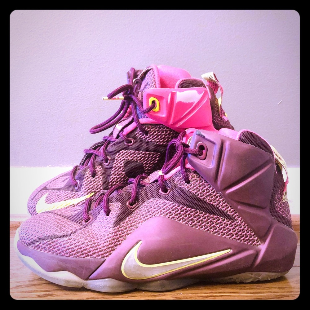 Lebron James Sneakers